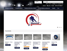 Tablet Screenshot of hokej-trening.sk